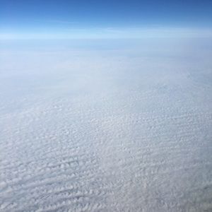 Meet your Posher, Shavon